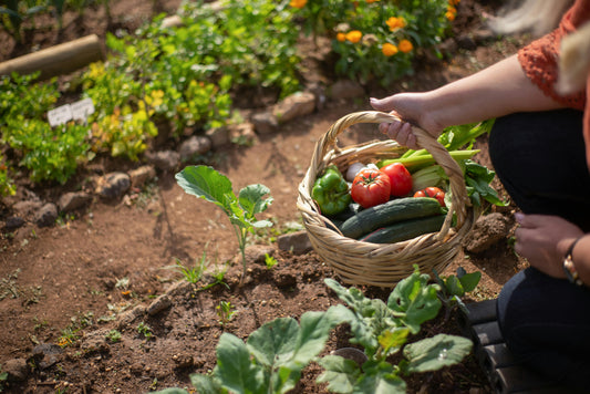 The Ultimate Guide to Growing Your Own Vegetables & Herbs