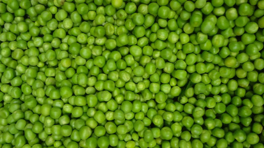 How to Grow Peas from Seed