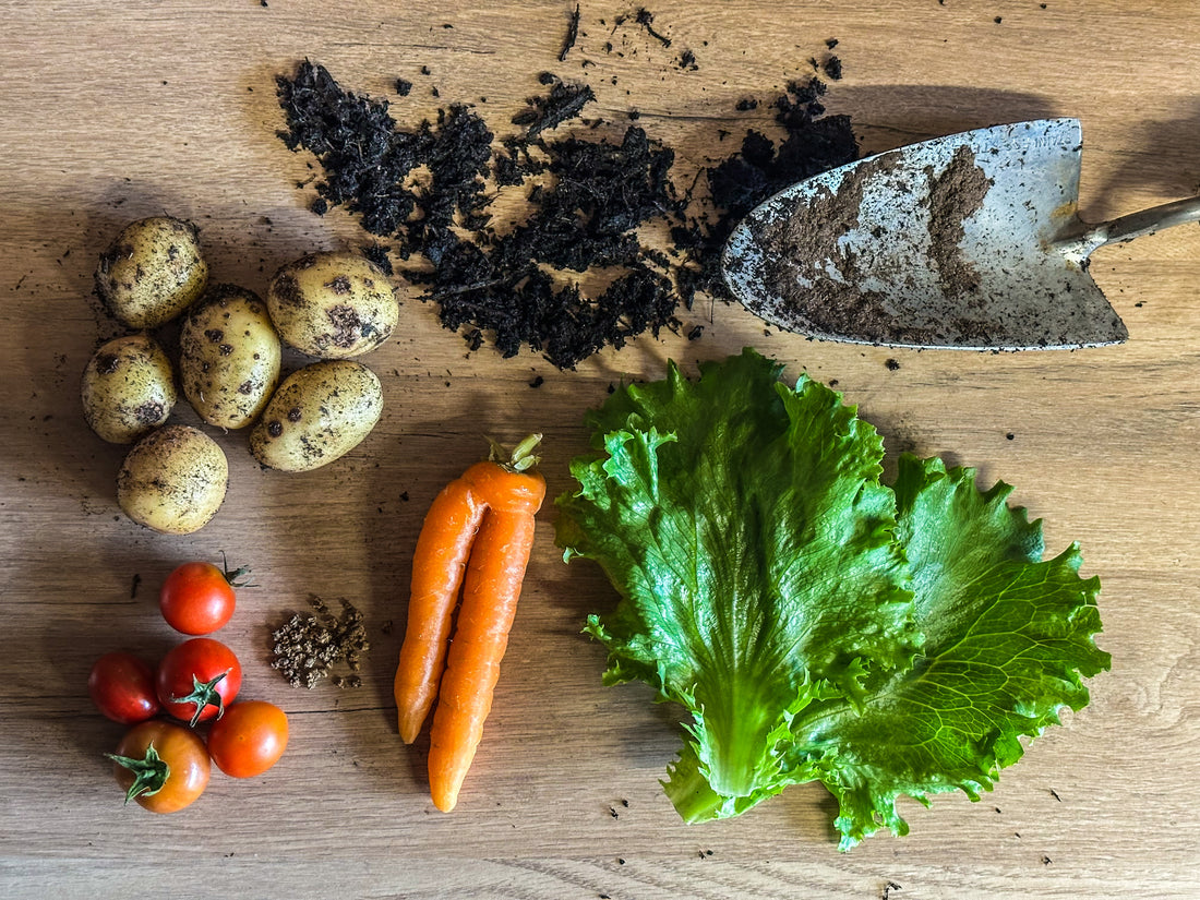 Reasons to grow your own vegetables