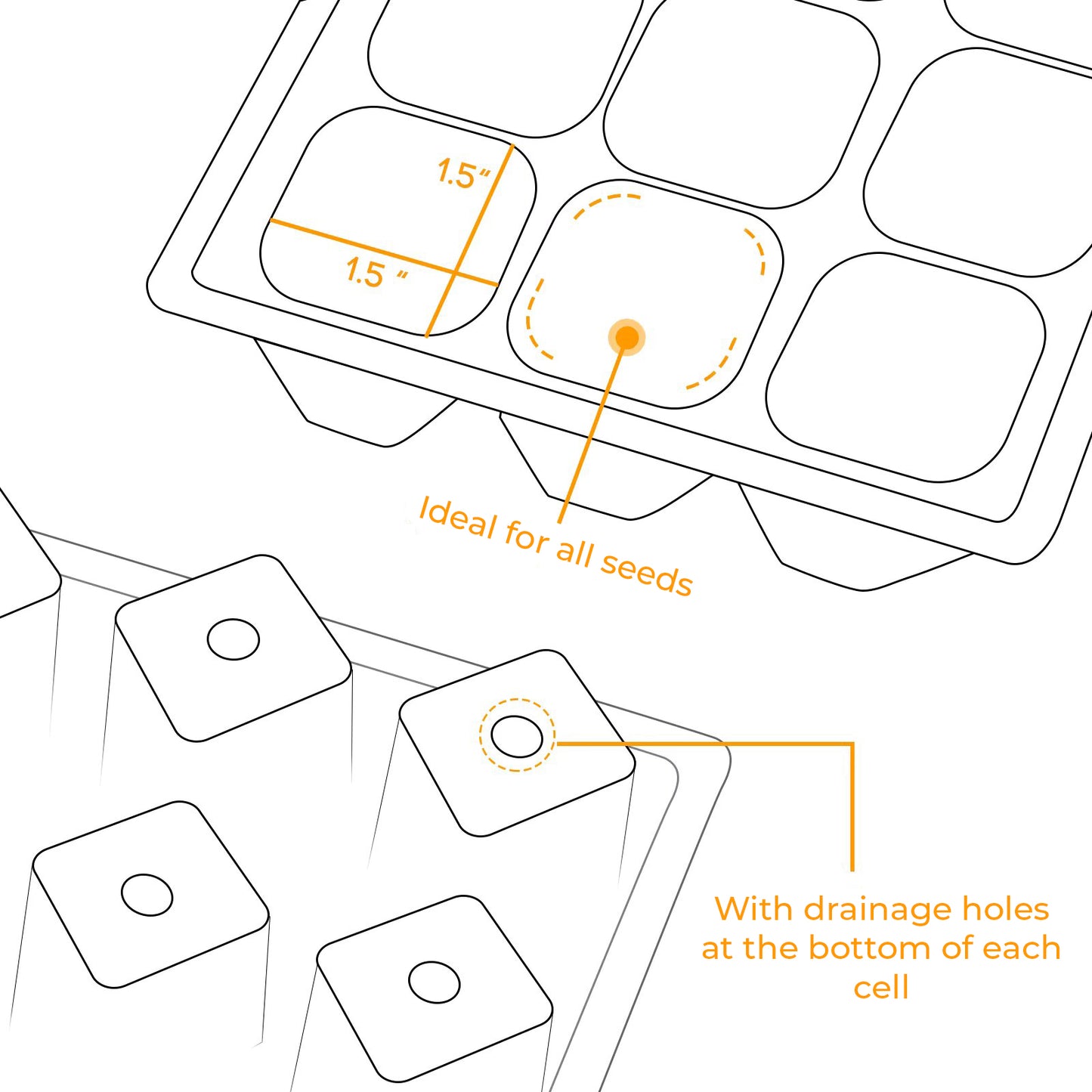 12 Cell Seed Tray with Humidity Cover