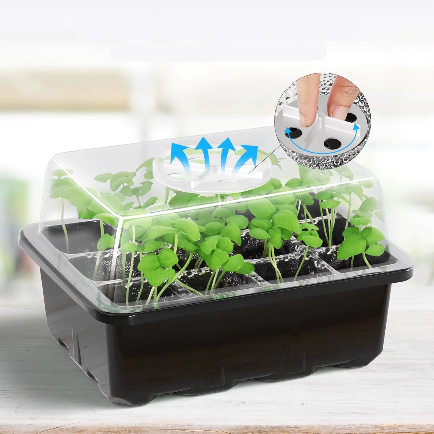 12 Cell Seed Tray with Humidity Cover