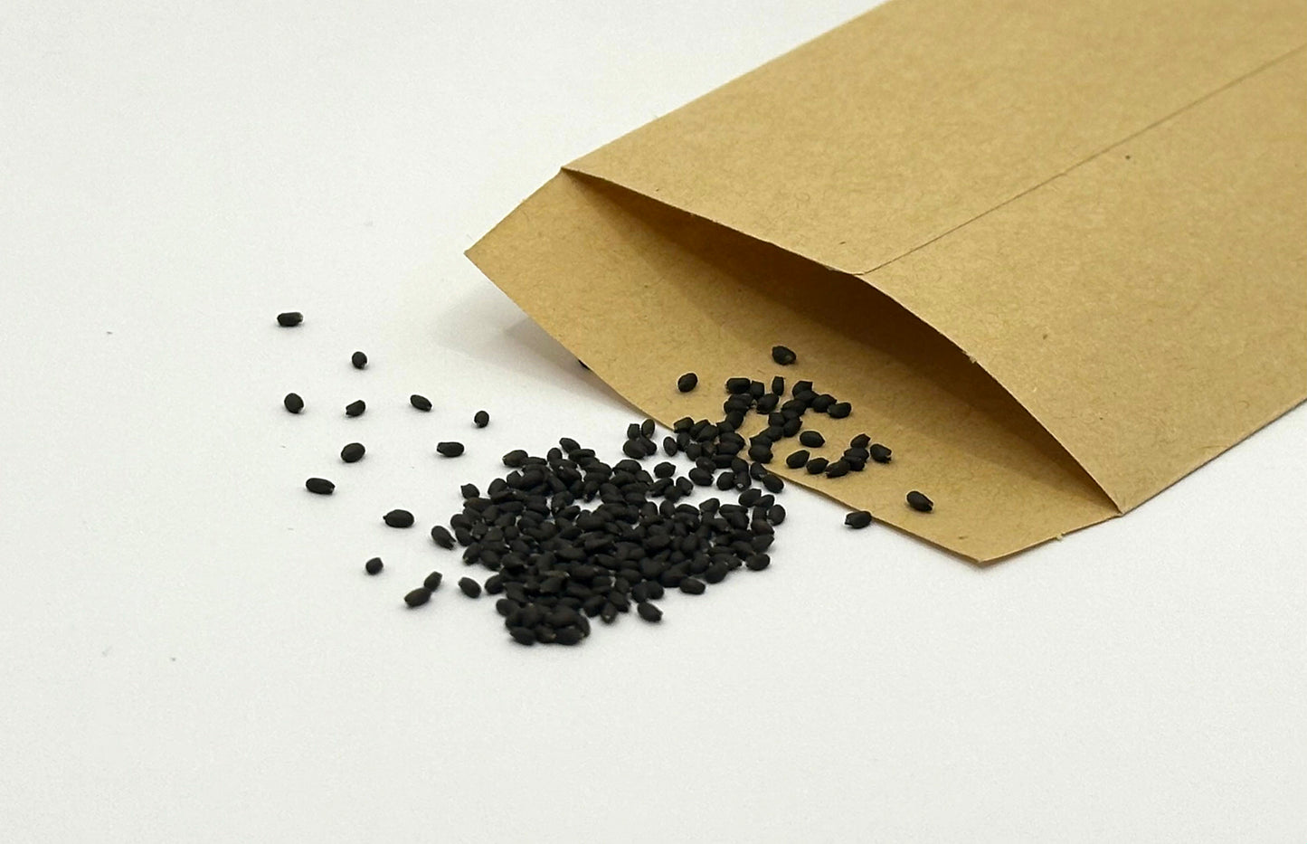 Buy Basil Seeds