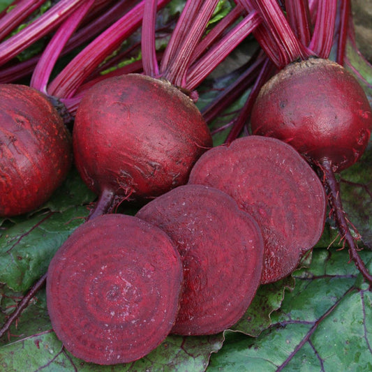 Buy Beetroot Seeds
