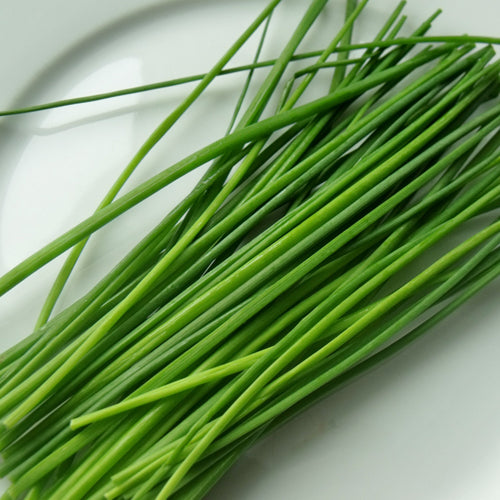Buy Chive Seeds