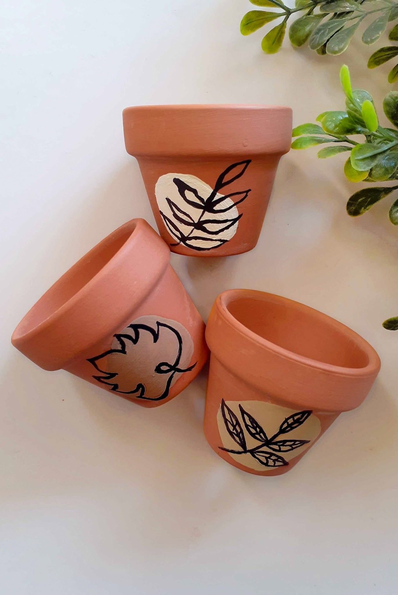 DIY Terracotta Plant Pots with Paint + Seeds