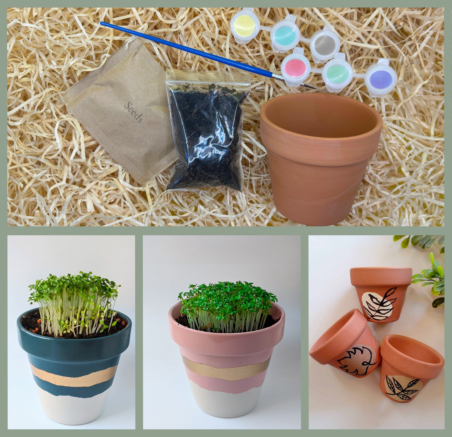 DIY Terracotta Plant Pots with Paint + Seeds