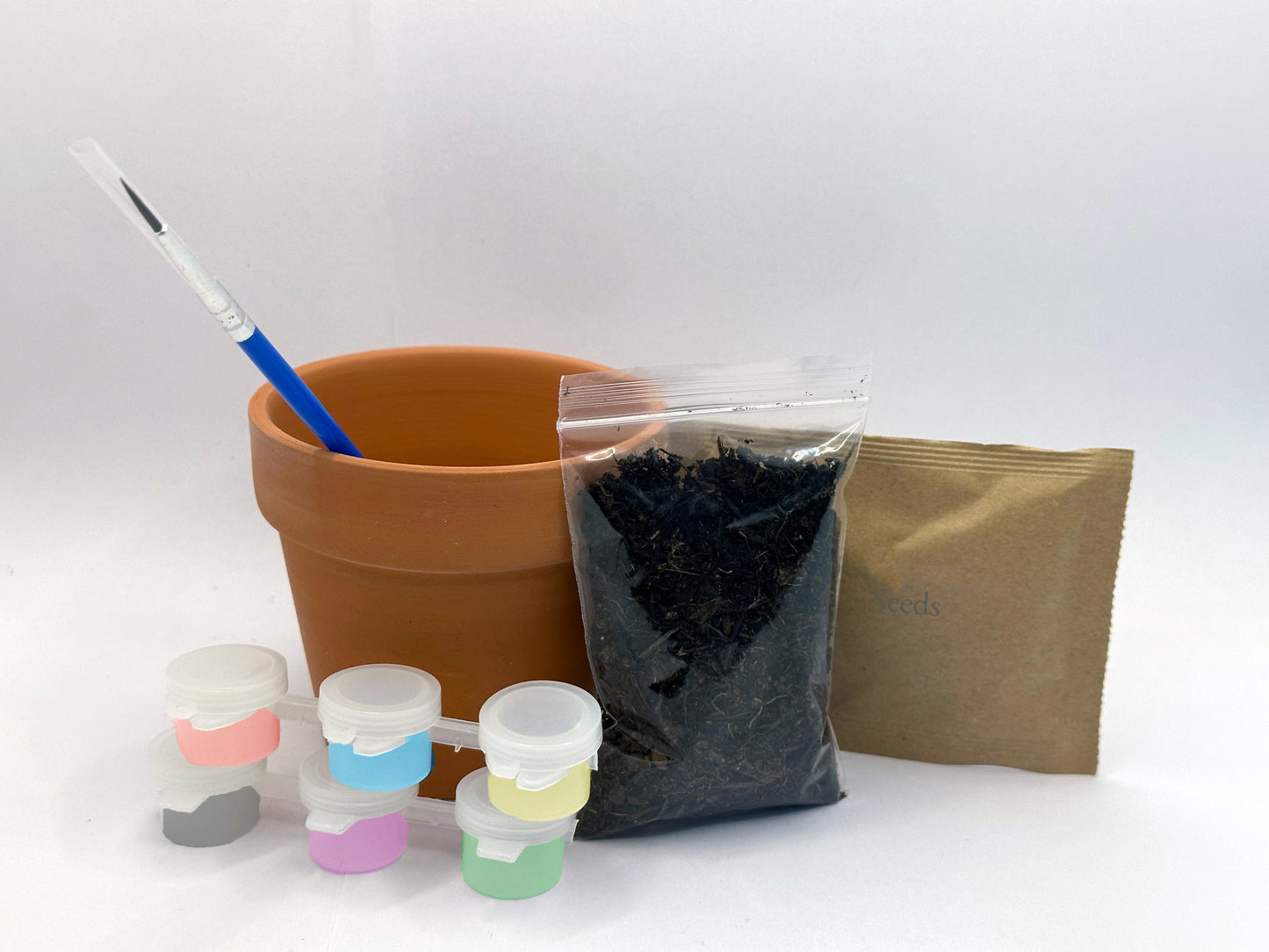 DIY Terracotta Plant Pots with Paint + Seeds