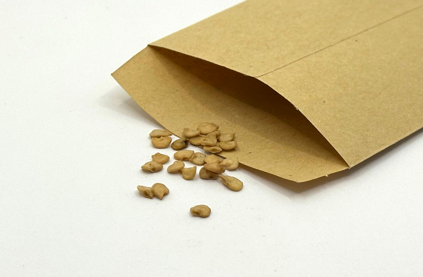 Buy Sweet Pepper Seeds