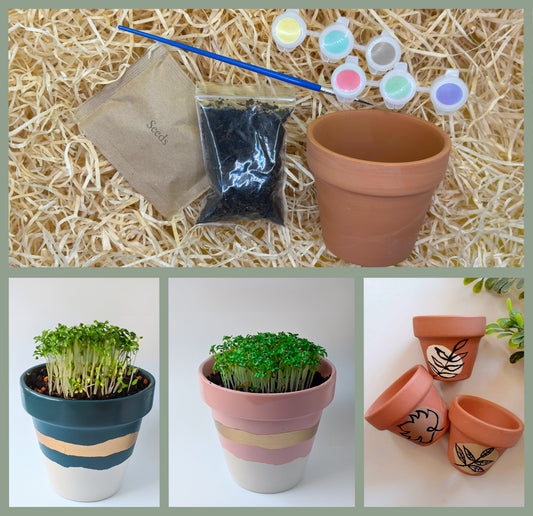 DIY Terracotta Plant Pot with Paint + Seeds